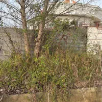 ۲۵۰ متر زمین سند دار خشک اسطلخ