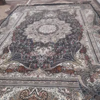 فرش12متری 700شانه نو|فرش|قشلاق دشت, |دیوار