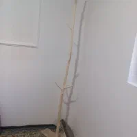 آویز لباس ایستاده طرح شاخه درخت|بندرخت و رخت‌آویز|ماهنشان, |دیوار