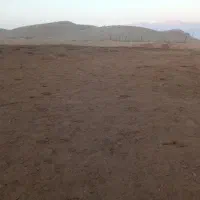 کود شتر|خدمات باغبانی و درختکاری|حاجی آباد, |دیوار