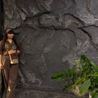 پتینه کلاسیک/میکروسمنت/نقاشی دیواری