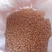 نخودمحلی امسال تازه زود پز