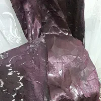 لباس مجلسی|لباس|زاهدان, |دیوار