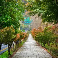 شهرک نمک ابرود/فروش واحد مسکونی