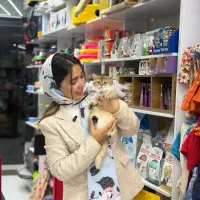 پت شاپ ویدا لاهیجان