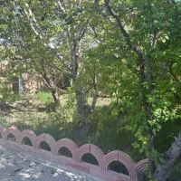 زمین-باغی-فروشی-500-متری