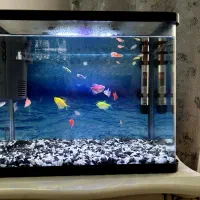 آکواریوم شیشه خم