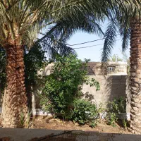 منزل مسکونی فروشی یامعاوضه بااپارتمان درکرمان|فروش خانه و ویلا|بم, |دیوار