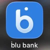 درآمد زایی با بلو بانک