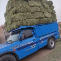 یونجه انباری|لوازم جانبی حیوانات|مشهد, خواجه ربیع|دیوار