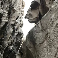 گشت قشم گشت جزیره|تور و چارتر|قشم, |دیوار