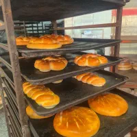 فروشنده بسته بند