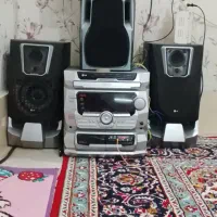 ظبط