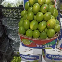 تهیه و فرنگی و تره بار تازه|خوردنی و آشامیدنی|تهران, میدان میوه و تره‌بار مرکزی|دیوار