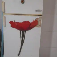 یخچال دو در فقط فریزر کار میکنه یخ