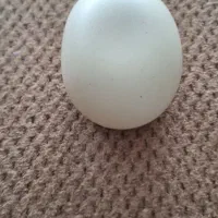 سنک الماس اسیاب