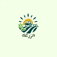 فروشگاه خشکبار و حبوبات و برنج و شکلات