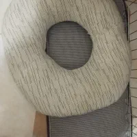 توله سگ|سگ|قدس, شهرک دانش|دیوار