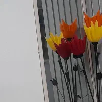 فروش آینه
