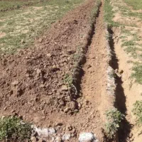 ۵۴۰متر زمین ویلایی