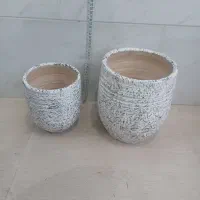 گلدان سفالی|گل و گیاه طبیعی|رشت, شهرک صبا|دیوار