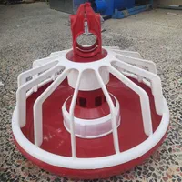 دانخوری آبخوری مرغداری گوشتی|دفتر کار|دماوند, |دیوار