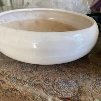 گلدون بنسای|گل و گیاه طبیعی|قم, امامزاده ابراهیم|دیوار