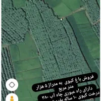 فروش-باغ-کیوی-قیمت-هر-متر-4-میلیون-و-500