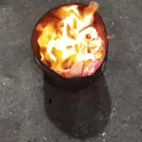 هیزم،چوب،هیمه|خدمات پیشه و مهارت|بابل, |دیوار