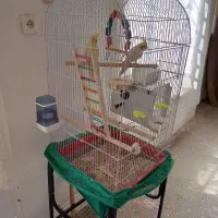 قفس بزرگ کاسکو پایه دار