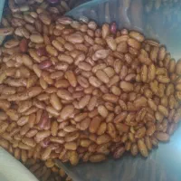 مرکز پخش لوبیا چیتی ازبک و نخود فلافلی زیر قیمت