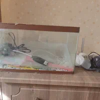 آکواریوم  شیشه خم