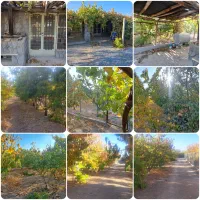 چند قطعه باغ با اتاق و فنس پل زمانخان|فروش دفتر صنعتی، کشاورزی، تجاری|سامان, |دیوار