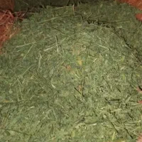 فروش کاه یونجه و کاه لوبیا تحویل درب انبار