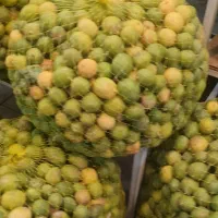 آبغوره و آبلیموی  طبیعی شیراز ارسال رایگان|خوردنی و آشامیدنی|شیراز, میرزاکوچک خان|دیوار