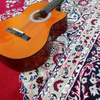 گیتار|گیتار، بیس، امپلیفایر|سوسنگرد, |دیوار