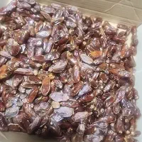 خرما کم هسته