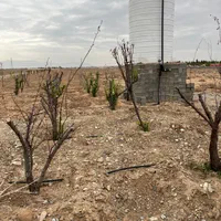 ۲۱۱متر زمین/سهیلیه/زعفرانیه/سنددار/اقساطی|فروش زمین و ملک کلنگی|کرج, فاز ۱ مهرشهر|دیوار