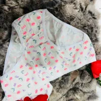 لباس زیر|لباس|تربت جام, شهید غلام زاده|دیوار