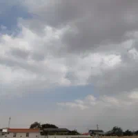 راهنمایی در زمینه پرورش زنبور عسل