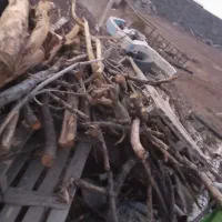 حدودا۳تن چوب هیزمی