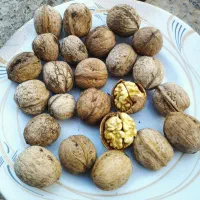 گردو درجه یک هنام