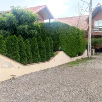 باغبانی و باغچه سازی|خدمات باغبانی و درختکاری|آمل, |دیوار