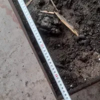 منقل کباب|اجاق گاز و لوازم برقی پخت‌وپز|رشت, شهرک صبا|دیوار