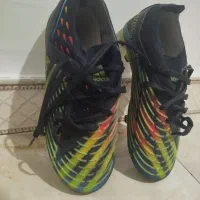 کفش فوتبال آدیداس پردیتور