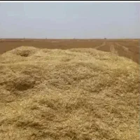 فروش کاه گندم