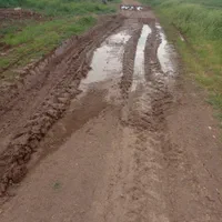 فروش ۱ و نیم هکتار آبی|فروش دفتر صنعتی، کشاورزی، تجاری|اسلام‌‌آباد غرب, |دیوار