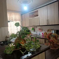 اجاره آپارتمان ۶۰ متری ۱ خوابه طبقه ۳