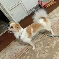 فروش و معاوضه