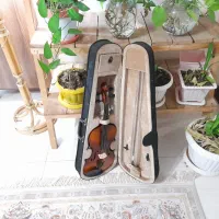 ویالن نو نو استفاده نشدهtf